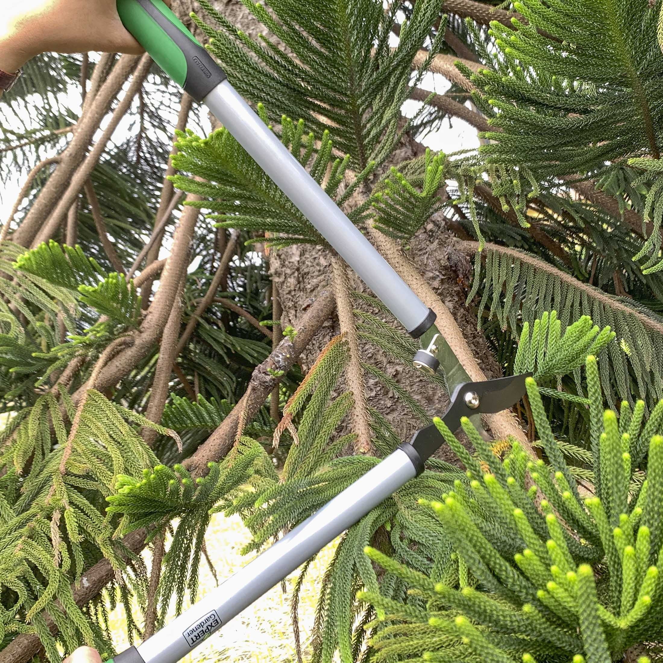 24 Inches Steel Bypass Lopper, 1" Cutting Capacity in Green and Black