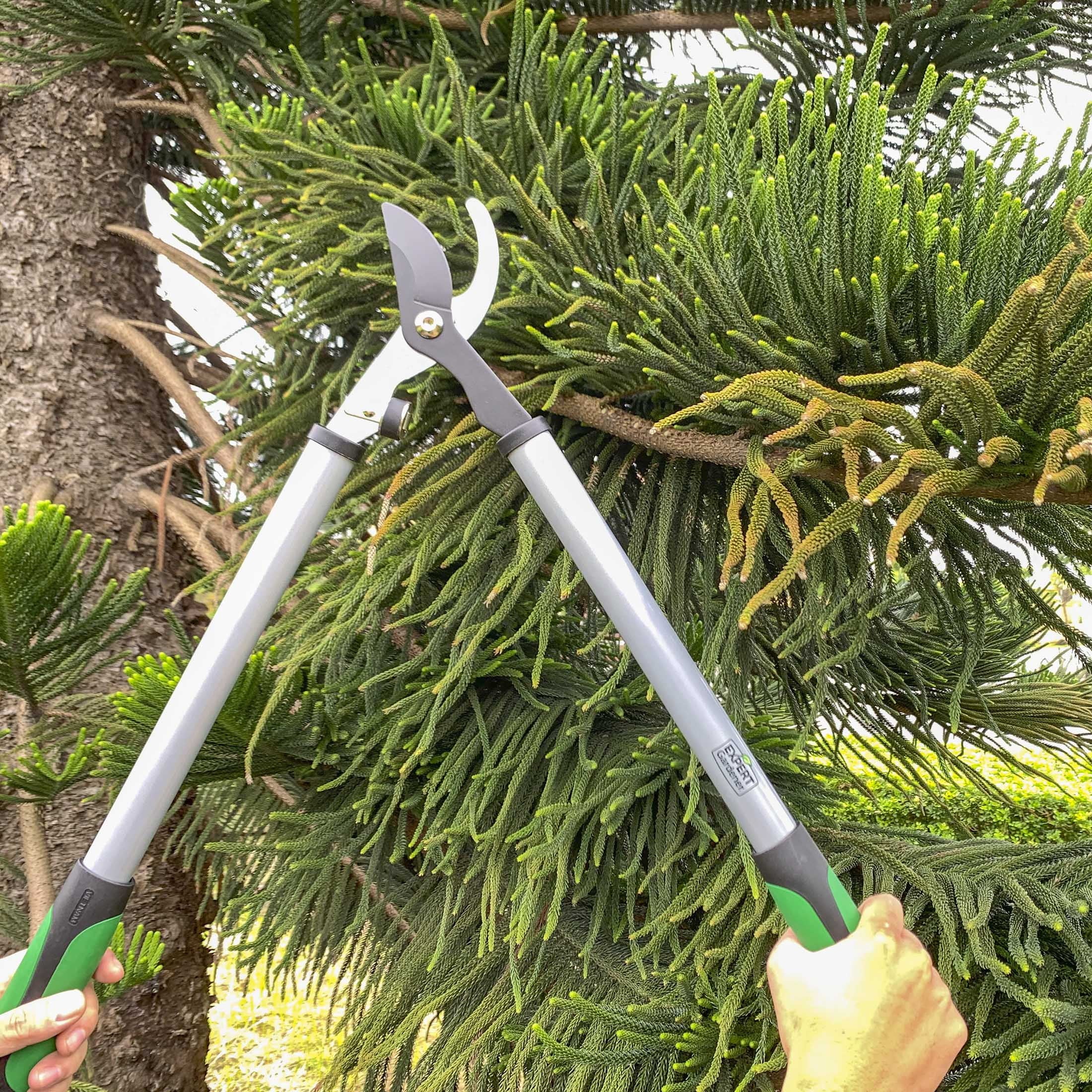 24 Inches Steel Bypass Lopper, 1" Cutting Capacity in Green and Black