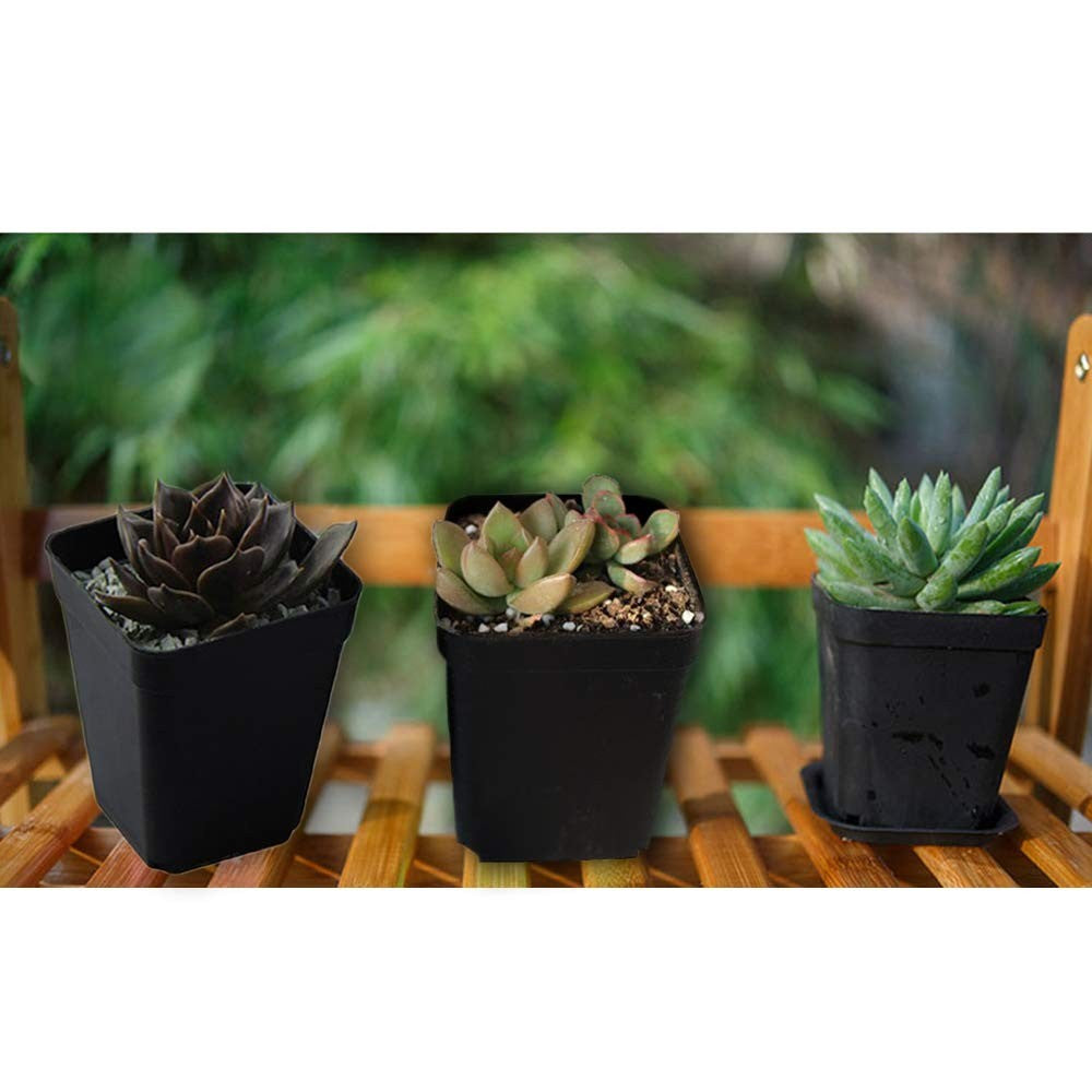 24 Pack 3 Inch Black Nursery Pot Flower Pots Square Plastic Plant Pot